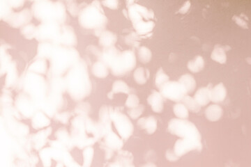 shadow and light pink background of leaf shadow tree branch on white wall texture,  shadow overlay...