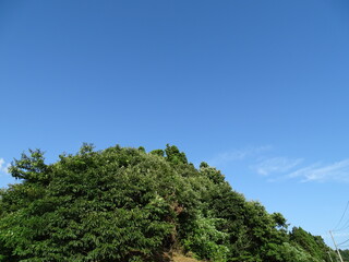 Fototapeta na wymiar 夏の里山風景