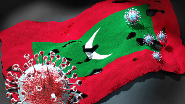 Covid in Maldives - coronavirus attacking a national flag of Maldives as a symbol of a fight and struggle with the virus pandemic in this country, 3d illustration