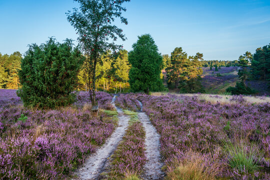 Naturpark S&uuml;dheide Tiefental