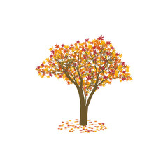 Fototapeta na wymiar Autumn tree for concept design. Nature background vector.