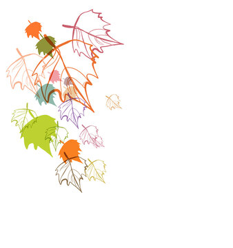 Birch fall leaves vector line bright colorful card background