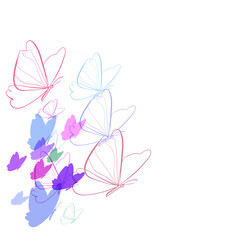 Fototapeta premium butterfly summer magic vector line bright colorful card background