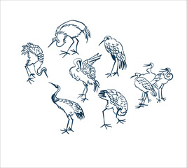dance crane bird sketch vector japanese design