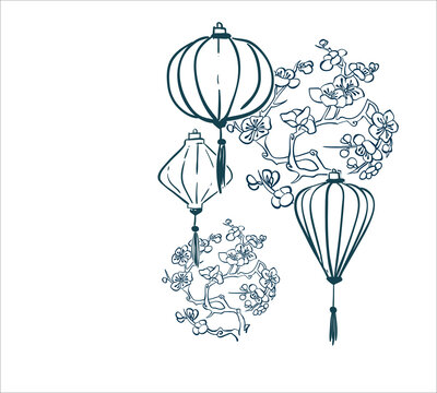 japanese vector sketch illustration engraved chinese paper lights lantern card sakura