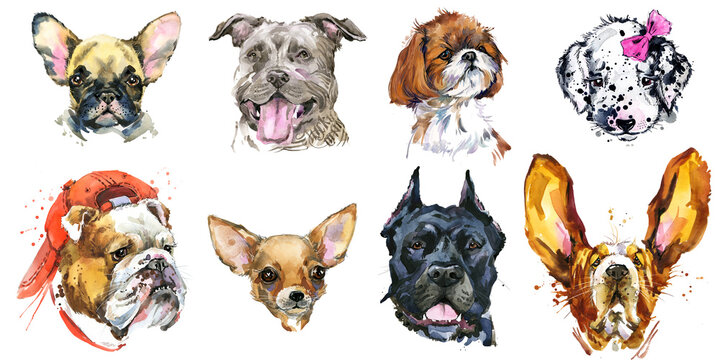 Dogs Collection. watercolor illustration of a different dog breeds Isolated on white.