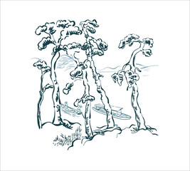 pine coast nature landscape view vector sketch illustration japanese chinese oriental line art