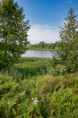 The pond appearing through the trees with lush growth in the foreground against a summer sky. Daytime, overcast sky with clouds. Scenery, rural landscapes, natural water basins, travel, contemplation.