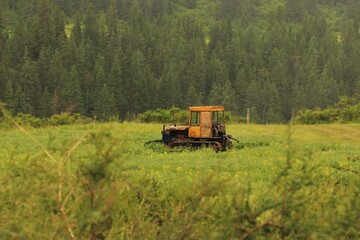 Naklejka premium an old yellow tractor on a green meadow in summer