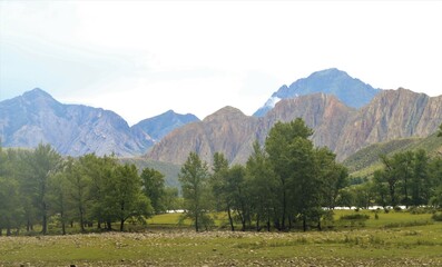 landscape in the mountains