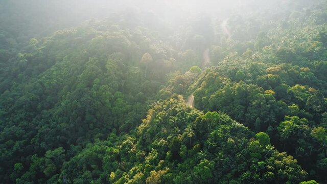 Green mountain peaks jungle nature forest with palm trees in Thailand wild national park. Zoom out of greenery nature landscape on tropical exotic Koh Phangan Island. Eco tourism, travel concept.