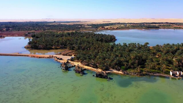 Aerial Upward Beautiful Shot Of Trees Over Landscape In River Against Clear Sky On Sunny Day - Siwa Oasis, Egypt