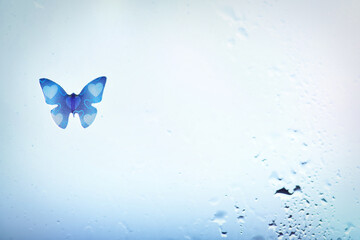 dreamy butterfly window