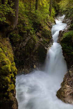 A mountain creek is flowing among moss covered rocks and trees and into a waterfall