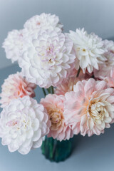 Beautiful fresh soft pink flowers close up