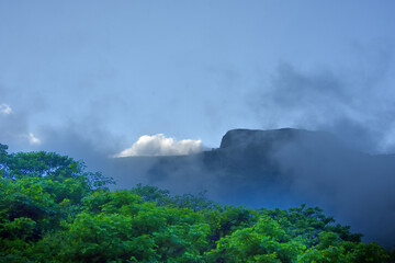 Nature Frames, Landscape and Birds