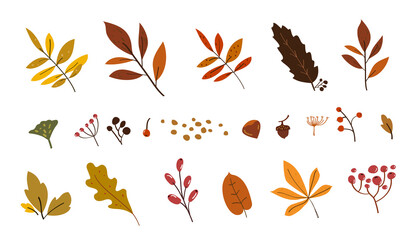 Fototapeta na wymiar Autumn leaves doodle set. Drawing leaf fall. Autumn time sketch elements. Fall collection with leaves. 