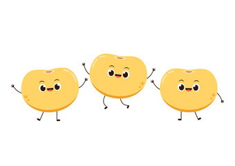 Soybean vector. Soybean character design.