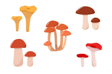 Set of mushroom icons vector. Illustration of boletus, chanterelles, honey mushrooms, aspen mushroom and russula.