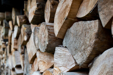 Pile of wood forming a wall. Ecology and deforestation problems in nature.