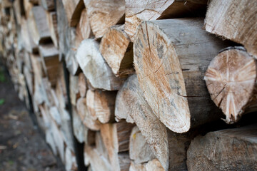 Pile of wood forming a wall. Ecology and deforestation problems in nature.