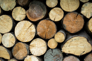Pile of wood forming a wall. Ecology and deforestation problems in nature.