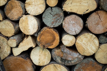 Pile of wood forming a wall. Ecology and deforestation problems in nature.