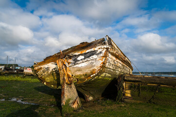 Old abandoned ship wreck on the river bank