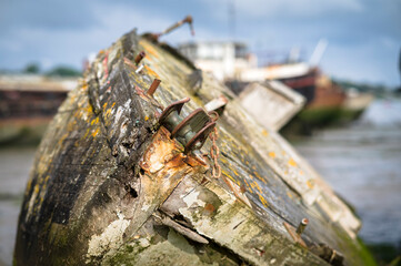 Old abandoned shipwrecks on the river bank