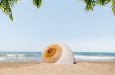 Fototapeta na wymiar Snail spiral shell isolated on the sandy shore. Sea background with palm tree leaves.