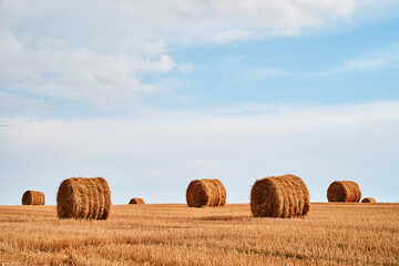 Straw bales in front of blue sky background