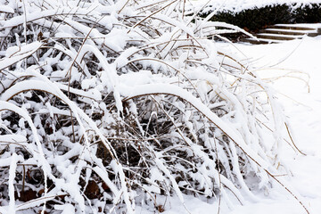 Snow scenery along the river in city Park in winter
