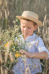 Portrait child. Little boy on a wheat field in the sunlight over sunset sky background. Fresh air, environment concept