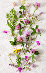 medical flowers herbs, alternative medicine healthy lifestyle. clover milfoil tansy rosebay