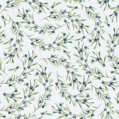 Juniper with berries branches watercolor seamless pattern. Template for decorating designs and illustrations.