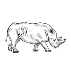 Rhinoceros isolated on white background. Sketch graphic animal with horn savannah in engraving style.