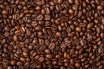 Fototapeta premium Roasted coffee bean seed, caffeine