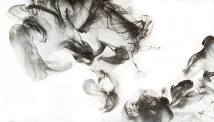 Fototapeta premium Abstract paint in water background. Black smoke cloud in motion on white, acrylic swirl splashes