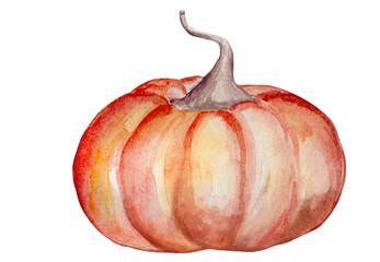 Bright orange pumpkin. Hand drawn watercolor autumn pumpkin. Isolated on white background. Autumn harvest. Autumn fall. Halloween concept. Thanksgiving day. Design for Autumn holidays.