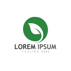 Fototapeta premium leaf logo and vector images