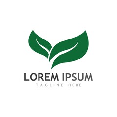 leaf logo and vector images