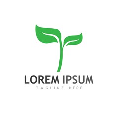 Obraz premium leaf logo and vector images