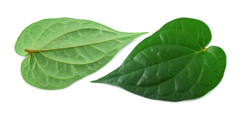 Fototapeta na wymiar betel leaf top and bottom side isolation white background