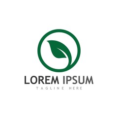 leaf logo and vector images
