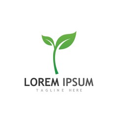 leaf logo and vector images