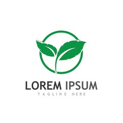 leaf logo and vector images