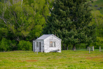 Abandoned house, old barn, New Zealand