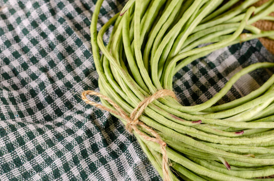 The Raw Green Bean Pods Are Tied With Twine. Long Raw Bean Aspar