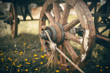 The wooden wheels of a cart standing in the grass.