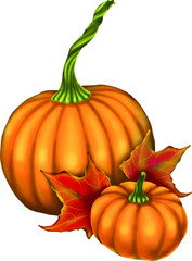 The autumn harvest is pumpkins